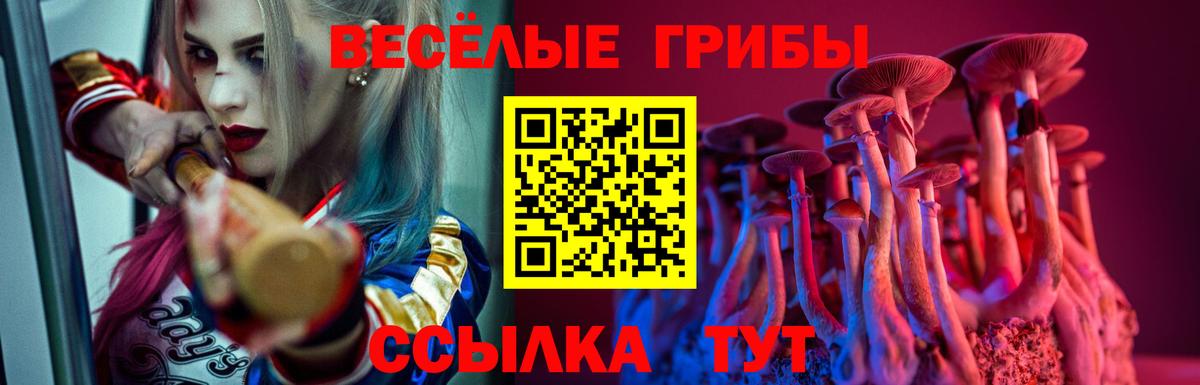Галлюциногенные грибы MAGIC MUSHROOMS Саранск