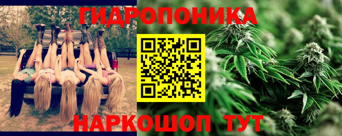 Бошки марихуана марихуана  Вход с VPN  Бошки Шишки план  Саранск  Шишки марихуана марихуана 